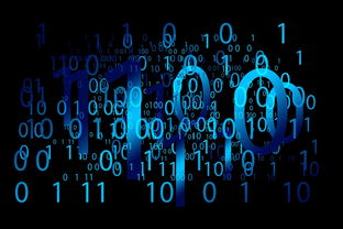 星空体育全站-体育新闻中心启动数字赛事历史资料数字重构计划，数字体育市场