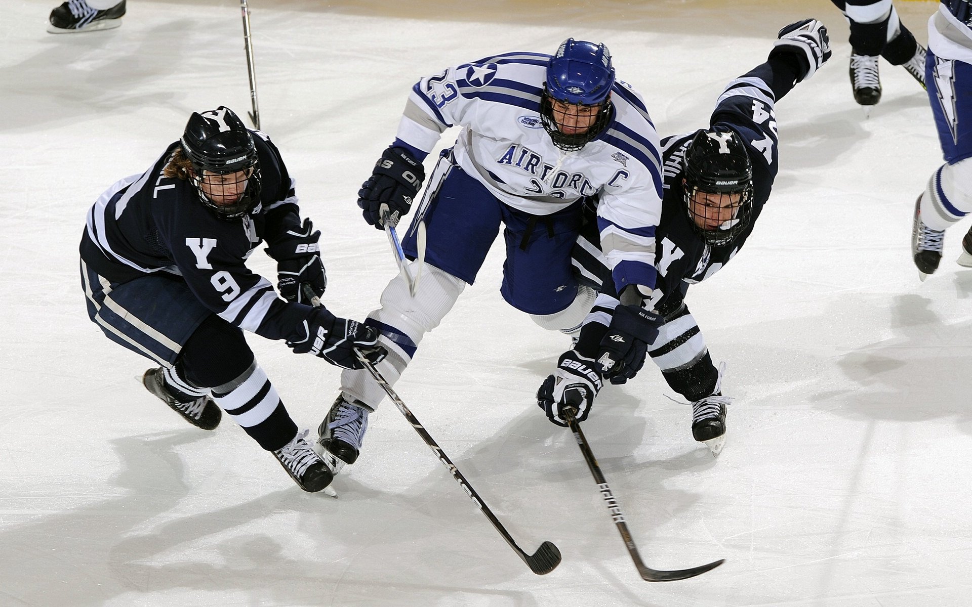 星空体育app官网入口-海湾者未来发展备受看好，潜力巨大，海湾技术